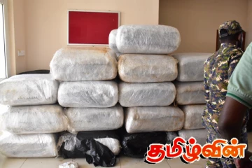 மன்னார் கடற்கரை பகுதியில் பாரியளவு பீடி இலைகளுடன் நால்வர் கைது