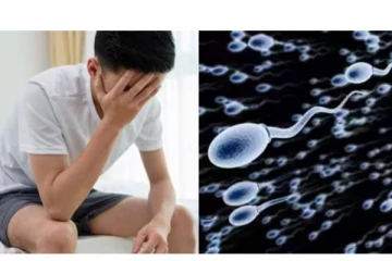 இந்த வைட்டமின் குறைப்பாடு இருக்கா? அப்போ விந்தணு எண்ணிக்கை குறையும் -ஆண்களே உஷார்!