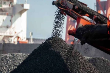 மின்சார நெருக்கடிக்கு காரணம் நிலக்கரி மோசடி? அரசாங்கம் மீது புதிய குற்றச்சாட்டு