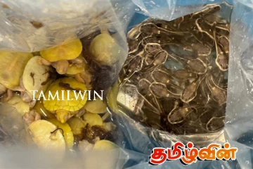 இலங்கைக்கு ஆபத்தை ஏற்படுத்த முயன்ற இளம் யுவதி உட்பட மூவர் கைது