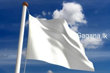 ඉන්දියාවේ මෙන්ම ශ්‍රී ලංකාවේ ද අතිශය ජනප්‍රිය සිනමා තරුවක් හදිසියේ මියයයි..