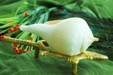 சங்கை இப்படி வழிபாடு செய்தால் போதும் நாம் கேட்கும் அனைத்தும் இரட்டிப்பாக கிடைக்கும்!