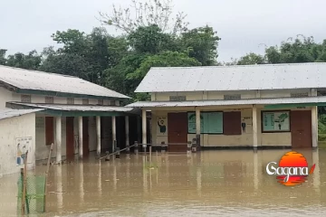 පාසල් බැම්මක් කඩන් වැටේ තත්ත්වය අවදානම්