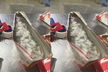 விமானத்தில் வந்த பார்சலிலிருந்து வீசிய நாற்றம்: அதிகாரிகள் கண்ட காட்சி