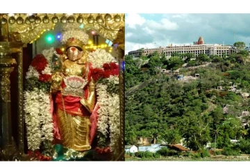 39 நாட்களில் நிரம்பிய பழனி முருகன் கோயில் உண்டியல்கள் - மெய்சிலிர்க்கும் சுவாரஸ்ய தகவல்!