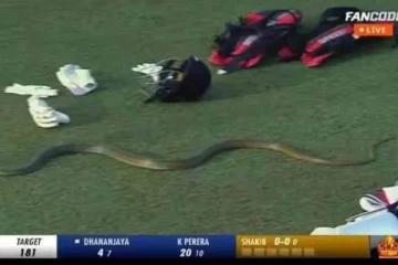 லங்கா பிரீமியர் லீக்! மைதானத்தில் திடீரென நுழைந்த பாம்பு - வைரல் வீடியோ