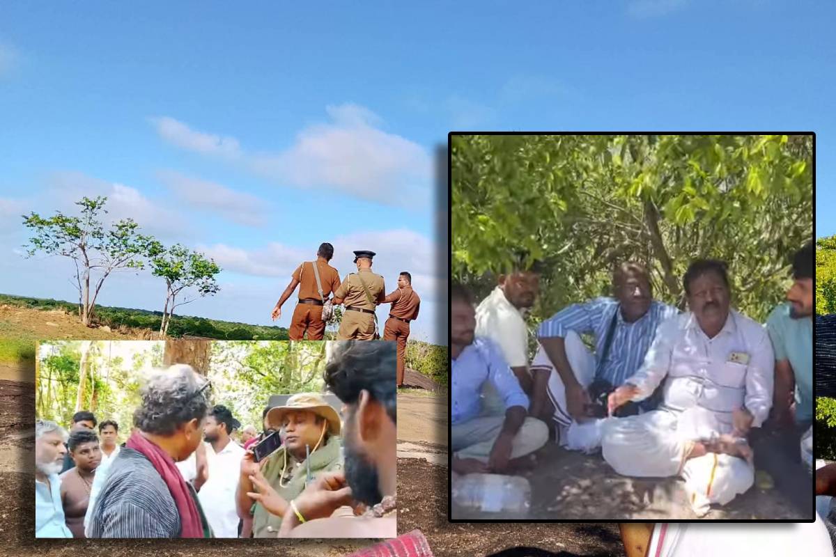 வெடுக்குநாறி மலையில் புத்தர் சிலை வைக்கப்பட்டதால் பதற்றம் : காவல்துறை, விசேட அதிரடிப்படை குவிப்பு | Buddha Statue Was Installed On Vedukkunari Hill வெடுக்குநாறி மலையில் புத்தர் சிலை வைக்கப்பட்டதால் பதற்றம் : காவல்துறை, விசேட அதிரடிப்படை குவிப்பு | Buddha Statue Was Installed On Vedukkunari Hill