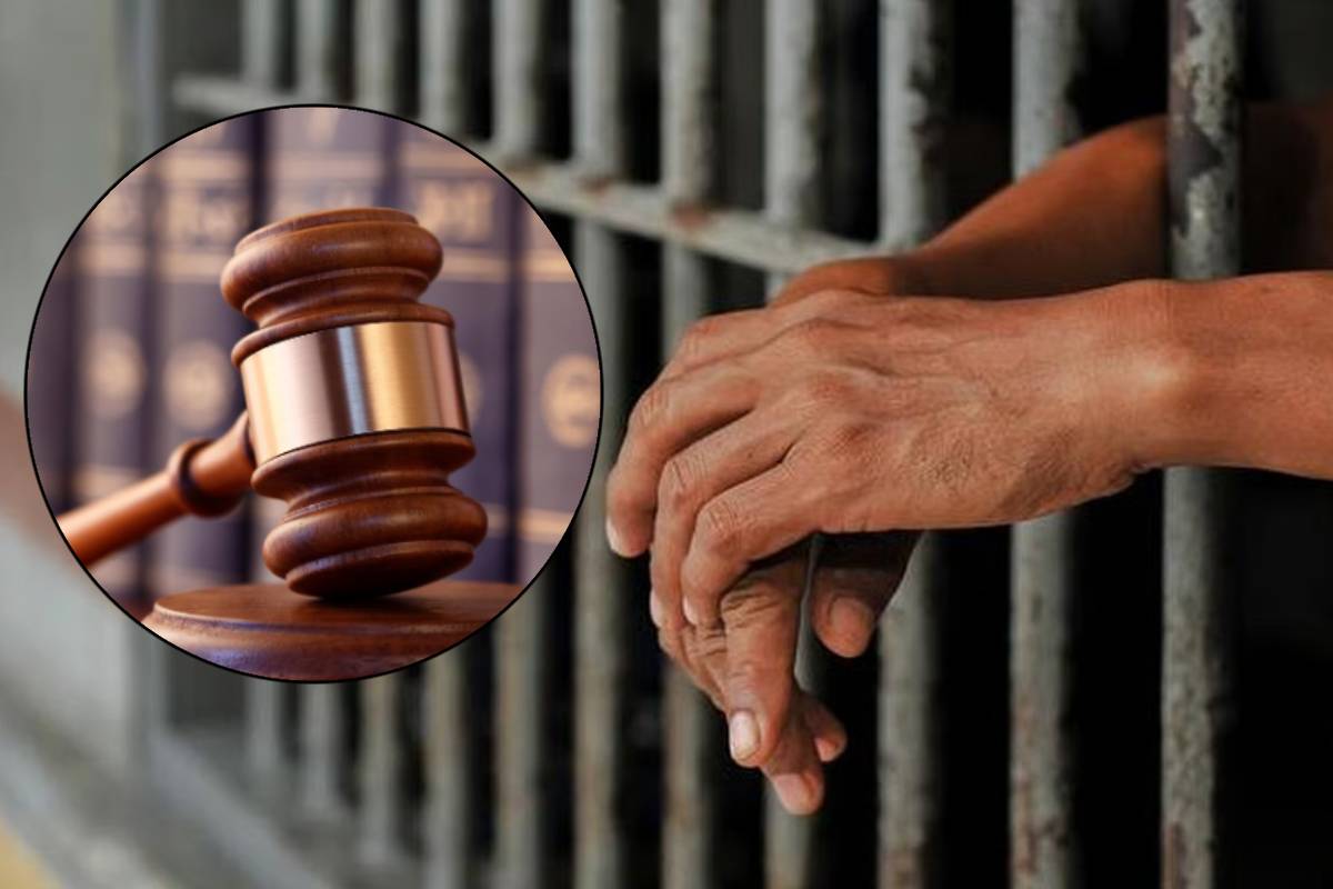 பளையில் விடுதலைப் புலிகளின் பயிற்சி முகாம் : காவல்துறை விசாரணைகளில் வெளியான தகவல் | Training Camp In Kilinochchi Police Investigation