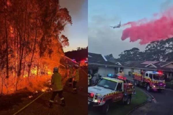 அவுஸ்திரேலியாவில் காட்டுத்தீ பரவல் அபாயம் காரணமாக மக்களுக்கு எச்சரிக்கை | People Warned Risk Wildfires Spreading Australia அவுஸ்திரேலியாவில் காட்டுத்தீ பரவல் அபாயம் காரணமாக மக்களுக்கு எச்சரிக்கை | People Warned Risk Wildfires Spreading Australia