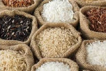 அரிசி இறக்குமதி செய்ய தேவையில்லை