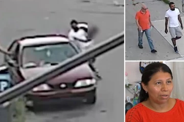 பட்டப்பகலில் குழந்தையைக் கடத்திய மர்ம நபர்... தாய் செய்த துணிச்சலான செயல்