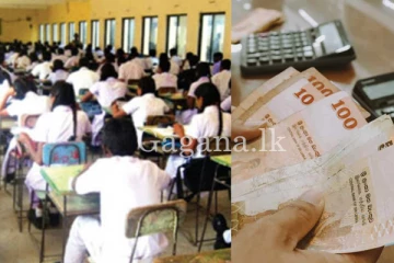 2023 ජනවාරියේ උසස් පෙළ පෙනී සිටි සිසුන්ට විශේෂ දැනුම්දීමක්.