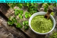 Moringa Powder: சத்தான முருங்கை கீரை பொடி... பல நோய்களுக்கு கிடைக்கும் தீர்வு