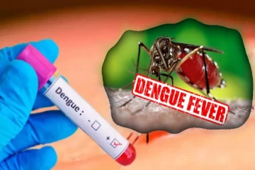 டெங்கு காய்ச்சல் காரணமாக நான்கு வயது சிறுமி உயிரிழப்பு