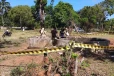 அலுவலகத்திற்கு அருகில் சடலமாக கிடந்த அரச அதிகாரி ; தமிழர் பகுதியில் சம்பவம்