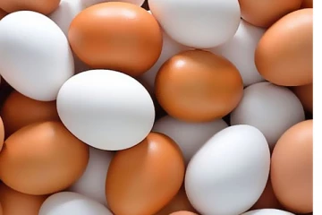 උත්සව සමයේ බිත්තර වලට සිදුවන දේ..