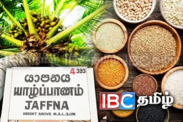 வட மாகாண சிறுதானியப் பயிர்ச்செய்கை தொடர்பில் கலந்துரையாடல்