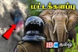 யானை தாக்குதலுக்கு இலக்காகி விவசாயி உயிரிழப்பு : தமிழர் பகுதியில் துயரம்