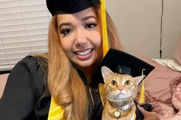 ஒன்லைன் வகுப்பில் பங்கேற்ற பூனைக்கு வாழ்த்து தெரிவித்த பல்கலைக்கழகம்! அமெரிக்காவில் நடந்த வேடிக்கை சம்பவம்