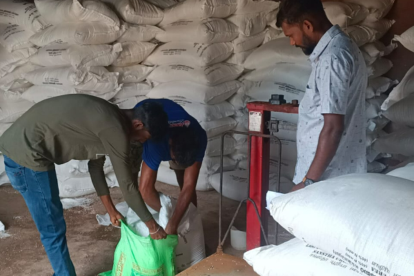 வவுனியா விவசாயிகளுக்கு யூரியா உரம் விநியோகம் | Distribution Of Urea Fertilizer To Vavunia Farmers