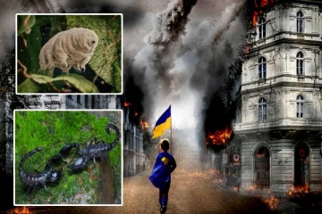 உலகமே அழிந்தாலும் அழியாத பூச்சி எது தெரியுமா? அழிவே இல்லையாம்