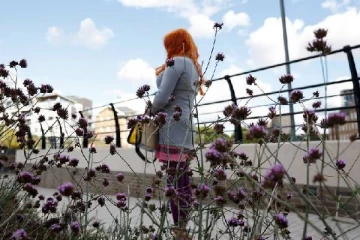 லண்டனில் குறிப்பிட்ட பகுதிகளில் தனியாக சிக்காதீர்கள்... பாதிக்கப்பட்ட பெண்ணின் பகீர் வாக்குமூலம்