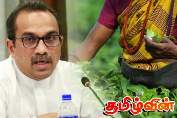 தோட்டத் தொழிலாளர்களுக்கு வழங்கப்பட்ட வாக்குறுதி தொடர்பில் பிமல் ரத்நாயக்க வெளியிட்டுள்ள அறிவிப்பு