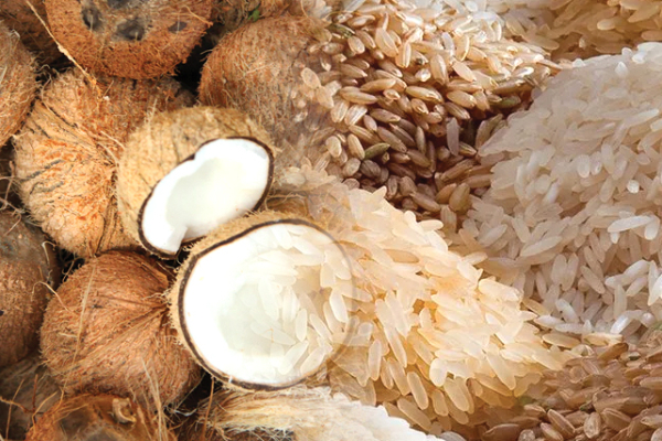 சதொசவில் தேங்காய் வாங்க வந்த மக்களுக்கு கிடைத்த ஏமாற்றம் | Customers Looking For Rice And Coconut At Sathosa சதொசவில் தேங்காய் வாங்க வந்த மக்களுக்கு கிடைத்த ஏமாற்றம் | Customers Looking For Rice And Coconut At Sathosa