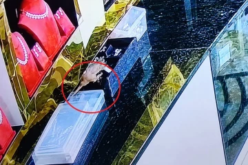 10 லட்சம் மதிப்புள்ள நகைகளை திருடிய எலி - CCTV காட்சிகளை பார்த்து அதிர்ந்த ஊழியர்கள்