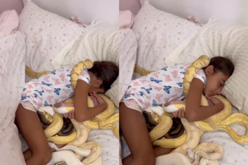 இராட்சத பாம்புகளை கட்டியணைத்து உறங்கும் சிறுமி; வைரலாகும் காணொளி