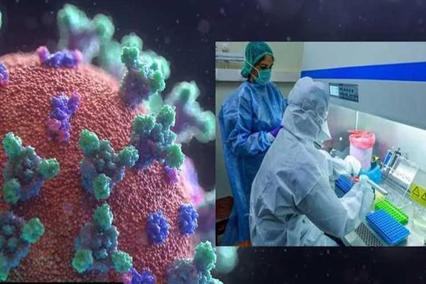 அமெரிக்காவில் பரவும் புதிய வகை கொவிட் தொற்று | New Type Of Covid Infection Spreading In America