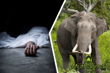 மட்டக்களப்பில் யானை தாக்கி இளம் தாய் பலி : உயிர் தப்பிய 3 வயது குழந்தை