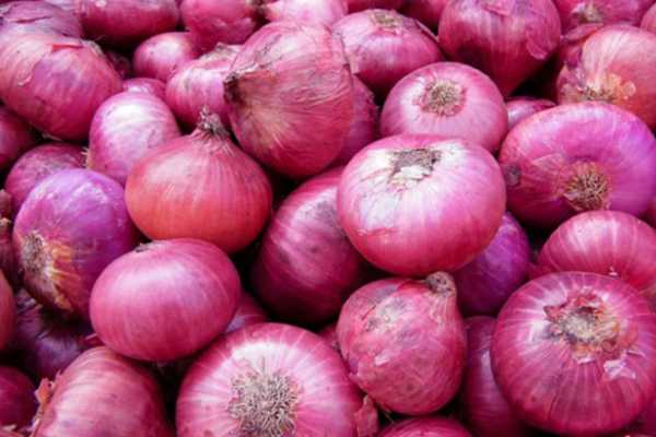 உரிய விலை நிர்ணயிக்கப்படாததால் பாதிக்கப்படும் விவசாயிகள் | Farmers Face Difficulties Proper Pricing Onion உரிய விலை நிர்ணயிக்கப்படாததால் பாதிக்கப்படும் விவசாயிகள் | Farmers Face Difficulties Proper Pricing Onion