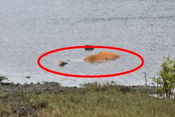 தொண்டைமானாறு கடலில் மீட்கப்பட்ட சடலம்; மேலதிக தகவல்