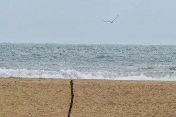 முல்லைத்தீவில் கரையொதுங்கியது பங்களாதேஷ் சடலம்