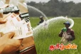 அதிகரிக்கப்பட்டுள்ள விவசாயிகளுக்கான உர மானியம்! இன்று முதல் ஆரம்பம்