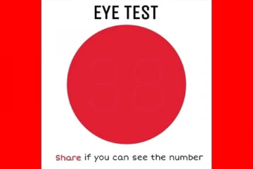 Optical illusion: இந்த சிவப்பு வட்டத்தில் தெரியும் இரண்டு சரியான இலக்கங்கள் என்ன?