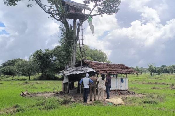 வயலில் சடலமாக கிடந்த NPPயின் இளம் தவிசாளர் ; திருகோணமலையில் சம்பவம் | Surveyor Found Dead In Field Trincomalee