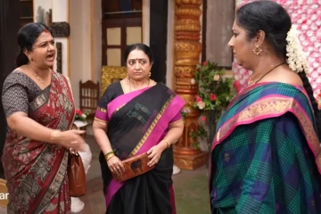 வீட்டுப் பிரச்சனைக்கு சிந்தாமணி தான் காரணம் என தெரிந்ததும் அதிரடி காட்டிய விஜயா... சிறகடிக்க ஆசை புரொமோ