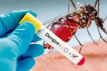 இலங்கையில் தீவிரமடையும் டெங்கு பரவல் : 3 மாதங்களில் ஏழாயிரத்தை தாண்டிய தொற்றாளர்கள்