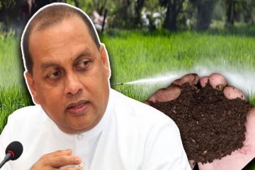 உர மானியத்தை அதிகரிக்க தீர்மானம்: வெளியான முக்கிய தகவல்