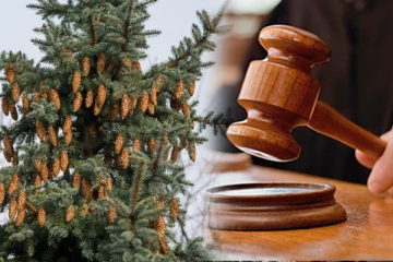 நாட்டின் பயங்கர கிரிமினல் வழக்குகளை சந்தித்த ஜேர்மன் நீதிமன்றத்தில் வித்தியாசமான ஒரு வழக்கு