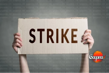 දිවයින පුරා ගොවීන් අද වර්ජනයක - හේතුව මෙන්න