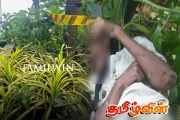 கொழும்பில் ஹோட்டல் ஒன்றின் 31வது மாடியில் இருந்து விழுந்த இளைஞர் மரணம்