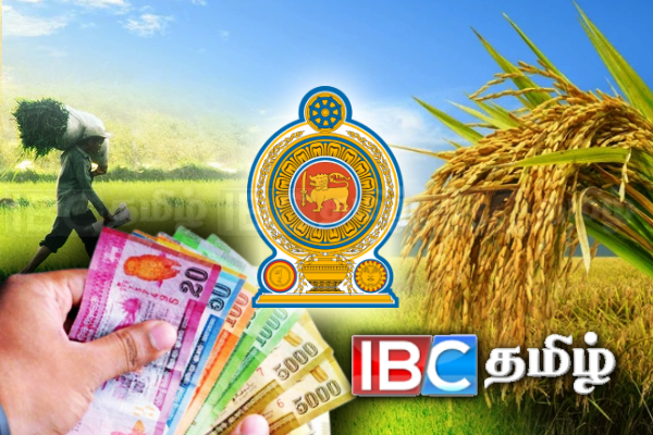 நெல் கொள்வனவுக்காக விசேட கடன் - அரசின் மகிழ்ச்சி செய்தி | Good News For Paddy Farmers Loan From Govt