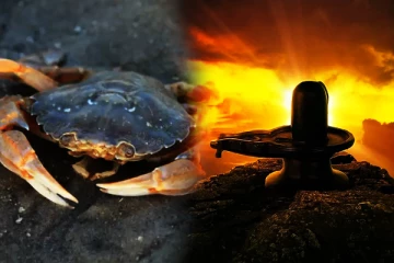 சிவனுக்கு காணிக்கையாக படைக்கப்படும் உயிருள்ள நண்டுகள்! வியக்க வைக்கும் அபூர்வ நிகழ்வு