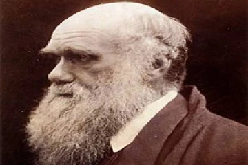 22 ஆண்டுகளுக்குப் பிறகு கிடைத்த பொக்கிஷம்!