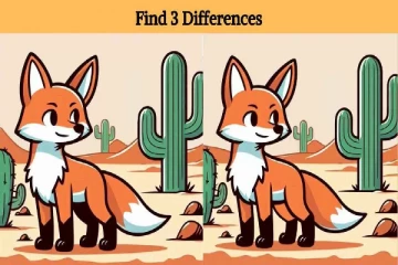 குள்ளநரியின் திருட்டு பார்வை: இப்படத்தில் இருக்கும் 3 வித்தியாசங்கள் என்ன?