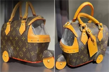 ரூ.35 லட்சத்திற்கு விற்கப்படும் ஆட்டோ வடிவிலான கைப்பை - அப்படி என்ன சிறப்பு?