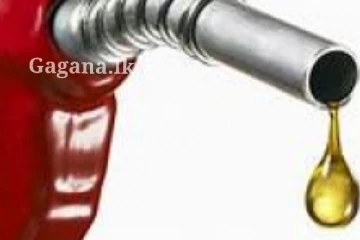 තෙල් සහ ගෑස් ගැන ඔබ මවිත වෙන ආරංචියක්.. අද තීරණය අරන් තියෙන්නෙ..